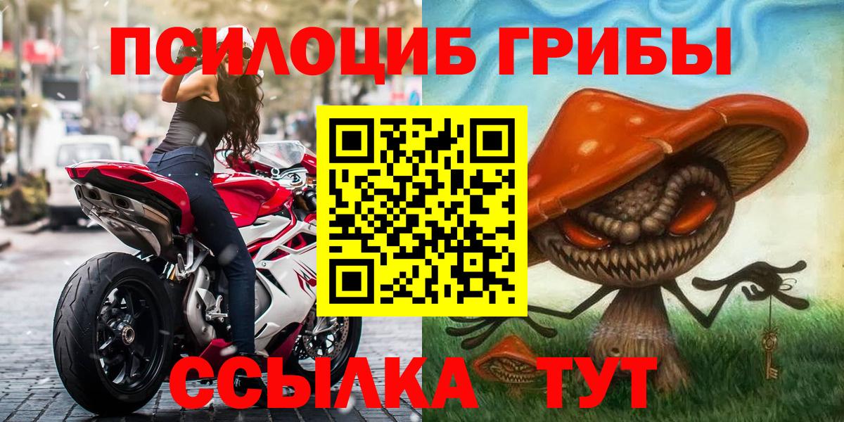 Галлюциногенные грибы Psilocybe Новокузнецк