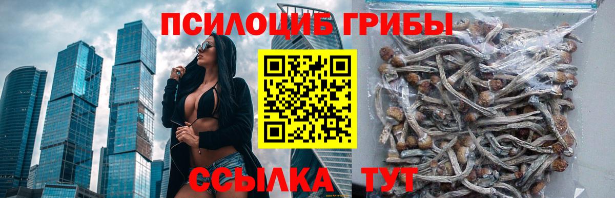 Галлюциногенные грибы мицелий  Вход с VPN  Новокузнецк 